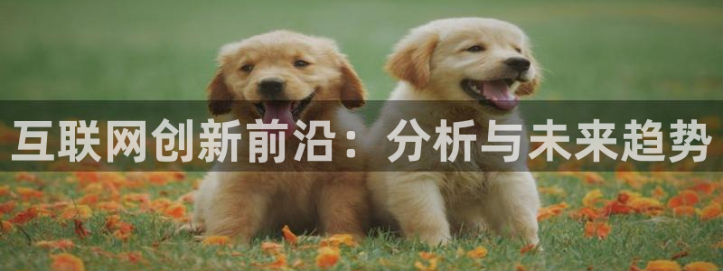 先锋娱乐手机