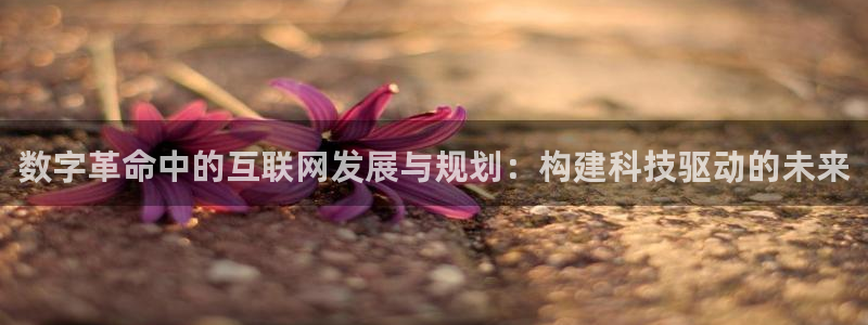 先锋娱乐赛