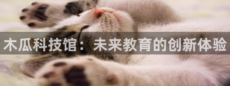 先锋娱乐垫付金额