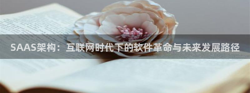 先锋电子旗下先锋娱乐