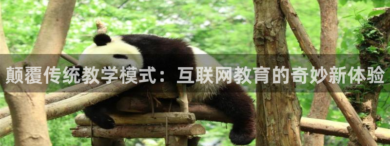先锋娱乐快讯