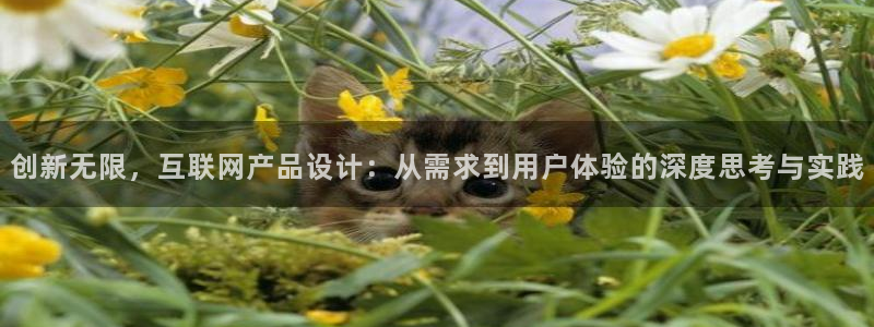 先锋娱乐赛
