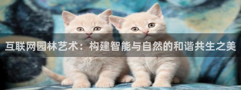 时代先锋娱乐：互联网园林艺术：