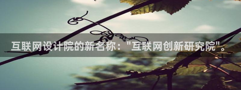 先锋娱乐登录：互联网设计院的新