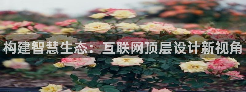 先锋娱乐在线