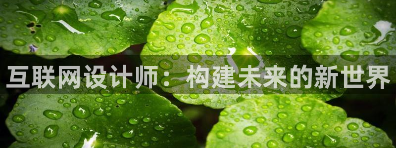 先锋娱乐简介图片：互联网设计师