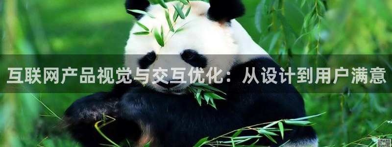 先锋娱乐客服：互联网产品视觉与
