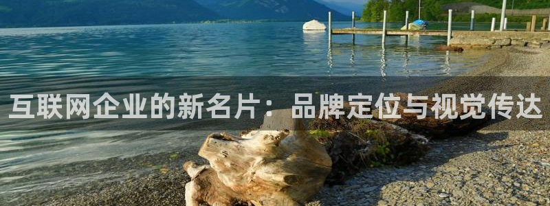 先锋娱乐社：互联网企业的新名片