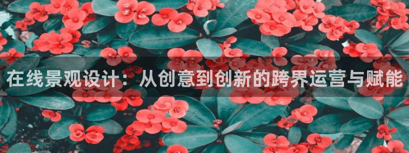 先锋岛娱乐：在线景观设计：从创