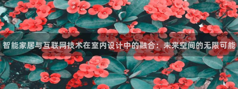 先锋互动娱乐：智能家居与互联网