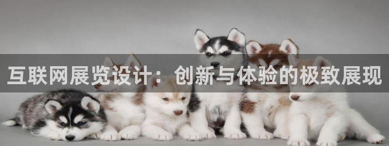 先锋娱乐大厅牛牛：互联网展览设