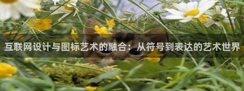 先锋电子车载娱乐系统