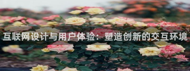 大连先锋娱乐