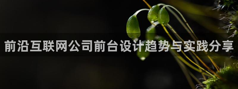 先锋队娱乐：前沿互联网公司前台