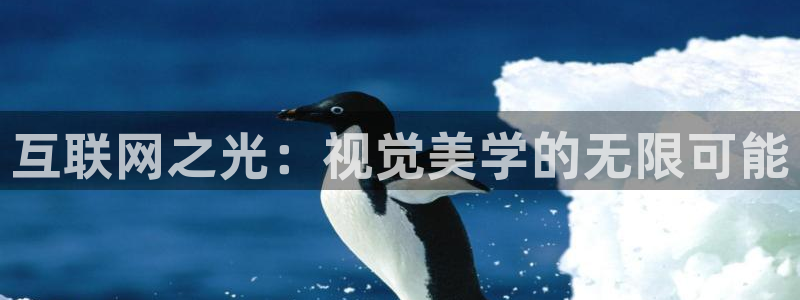 先锋队娱乐