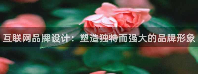 先锋娱乐属于违法吗：互联网品牌