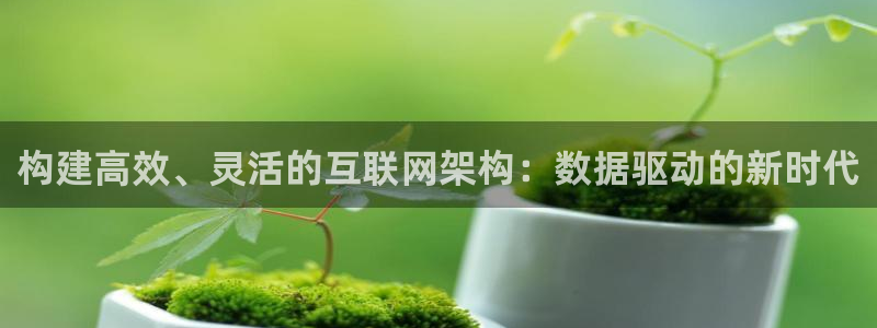 先锋岛娱乐：构建高效、灵活的互
